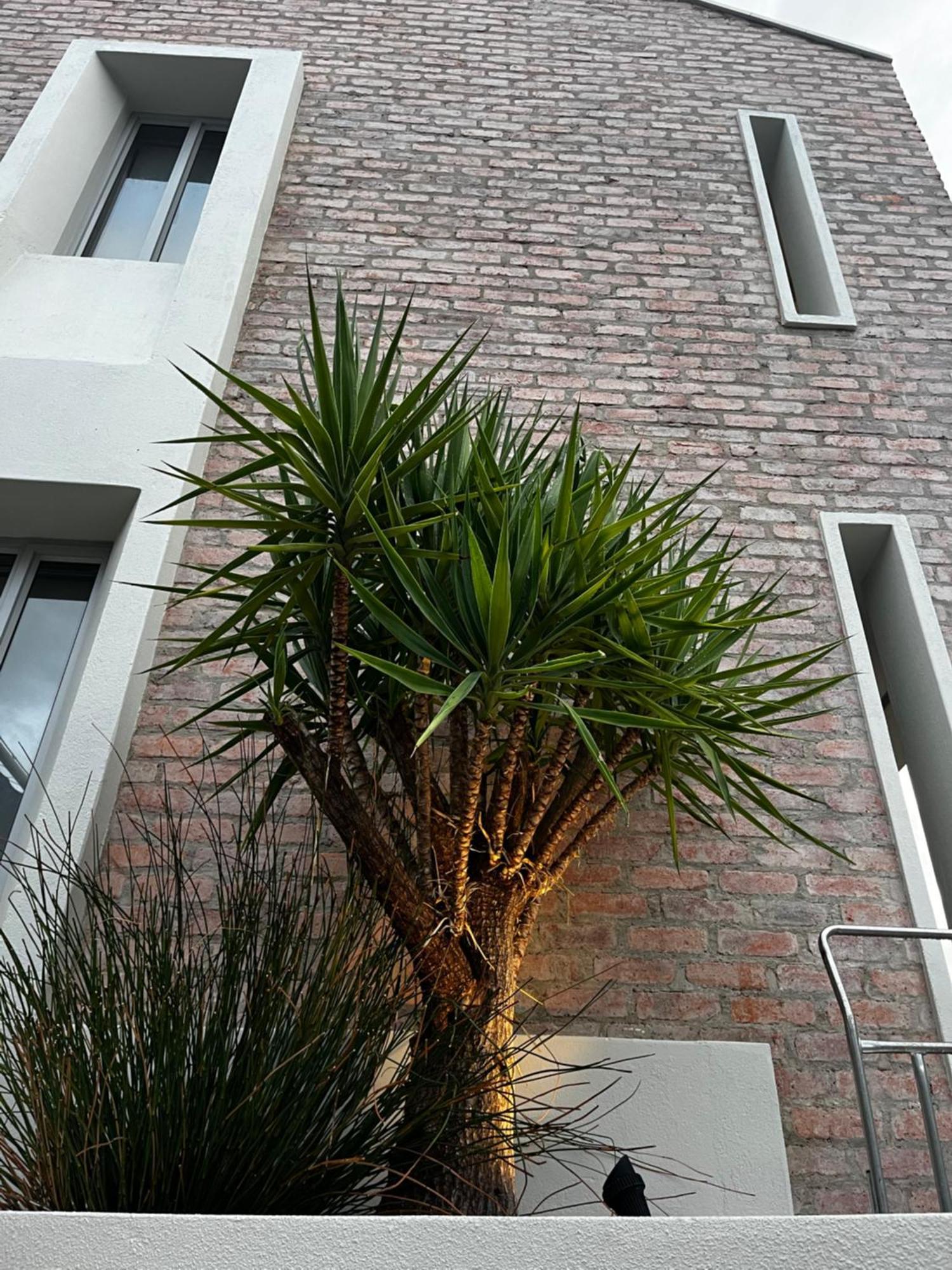 The Windhoek Luxury Suites Dış mekan fotoğraf