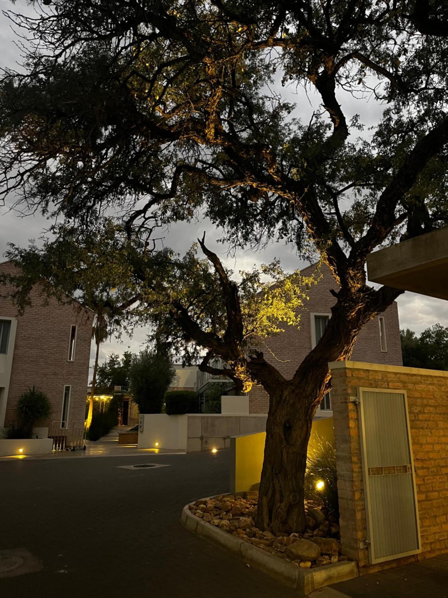 The Windhoek Luxury Suites Dış mekan fotoğraf