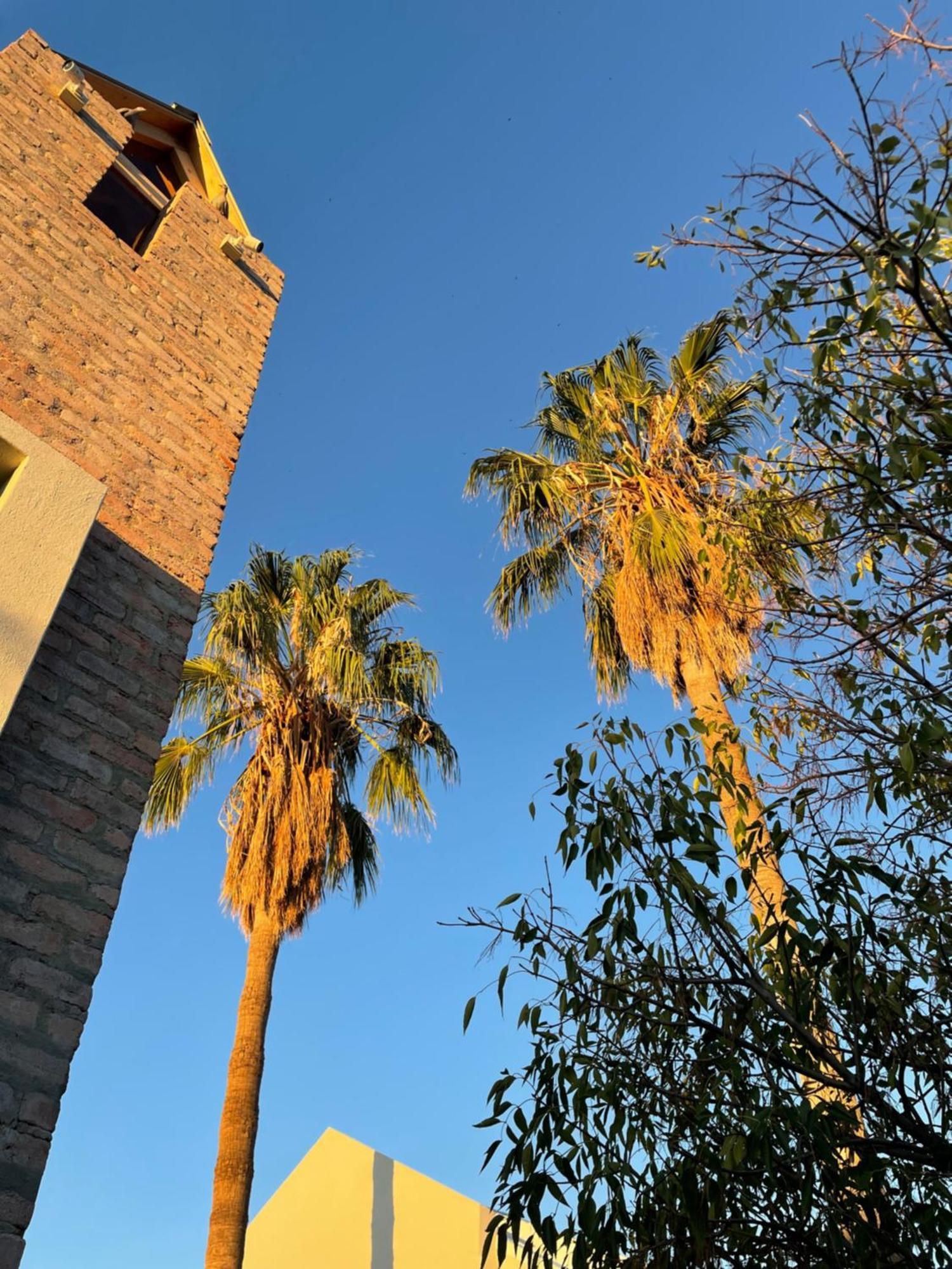 The Windhoek Luxury Suites Dış mekan fotoğraf